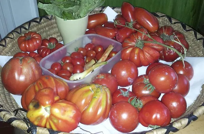 Casa Mora Bed and Breakfast *