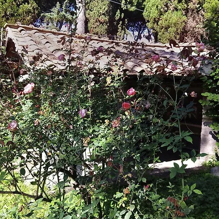 Casa Mora *